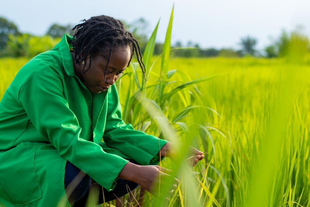 Agricultural farmer inspecting crops